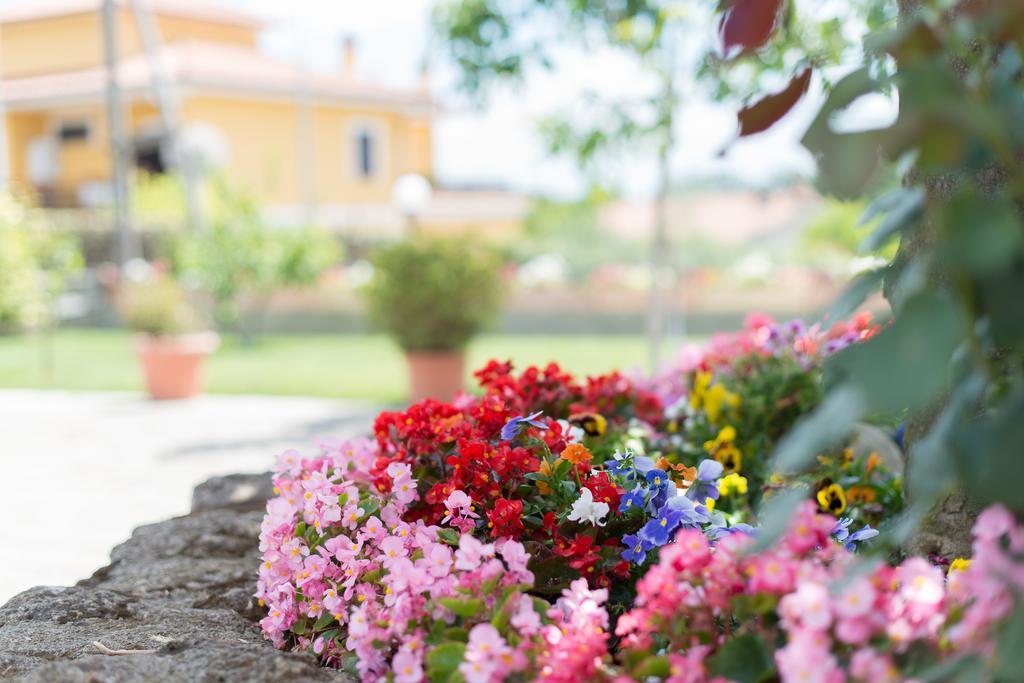 Bed And Breakfast Nonna Loreta Formello Exterior foto